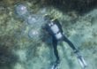 Panik in den Tiefen der Unterwasserwelt