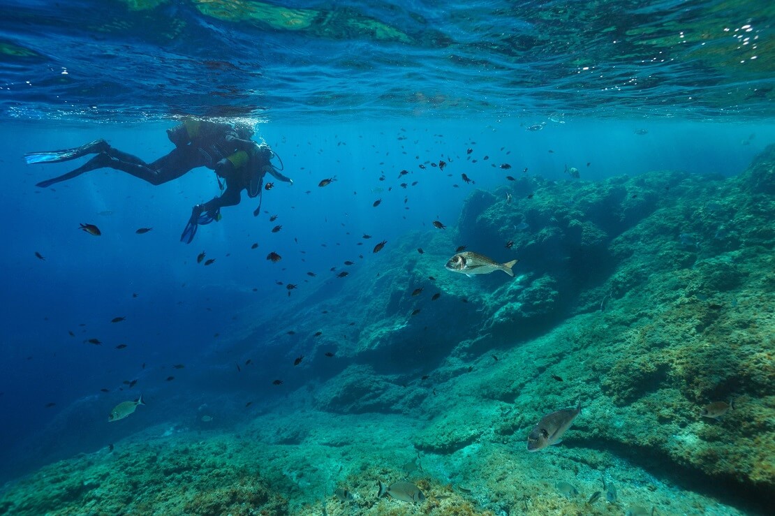 Ein Mann taucht im Meer vor im ein Felsen mit Fischen