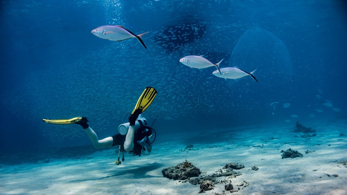 Taucher am Meeresboden mit Fischen im Vordergrund