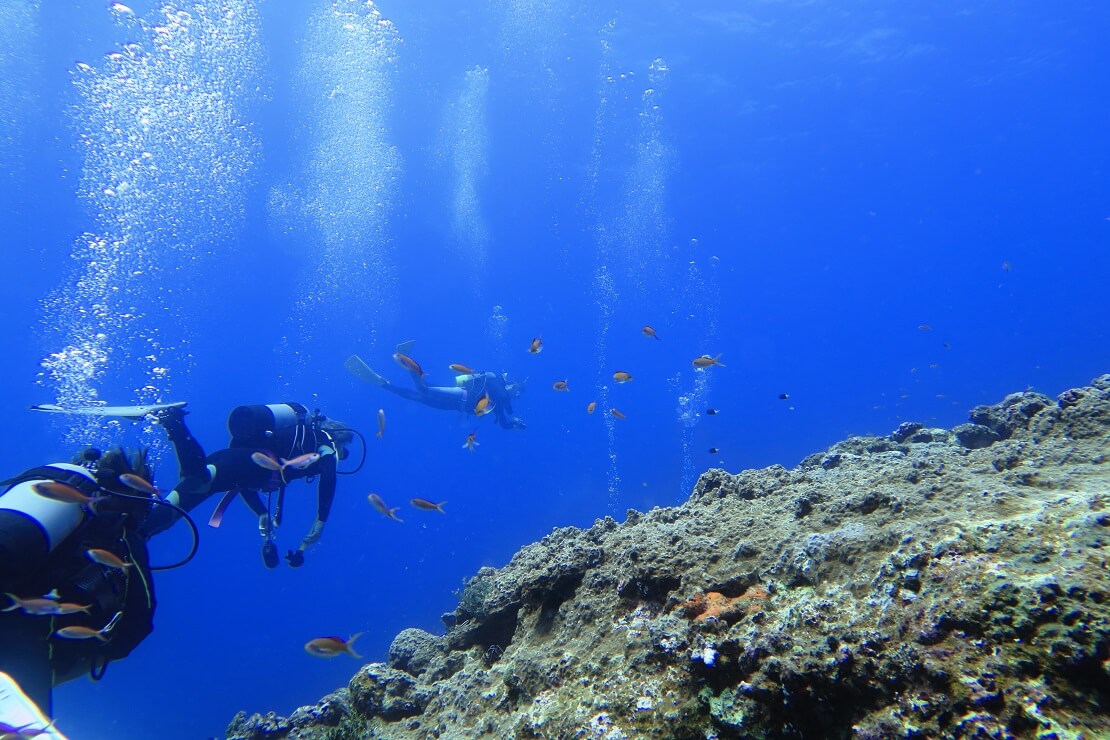 Drei Taucher schwimmen im Meer an einem Felsen vorbei