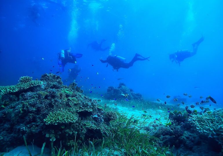 Grundlagen: Wie man unter Wasser richtig atmet