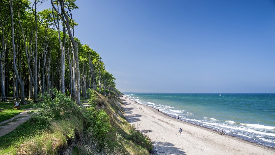 Ein kleines stück Wald am Strand