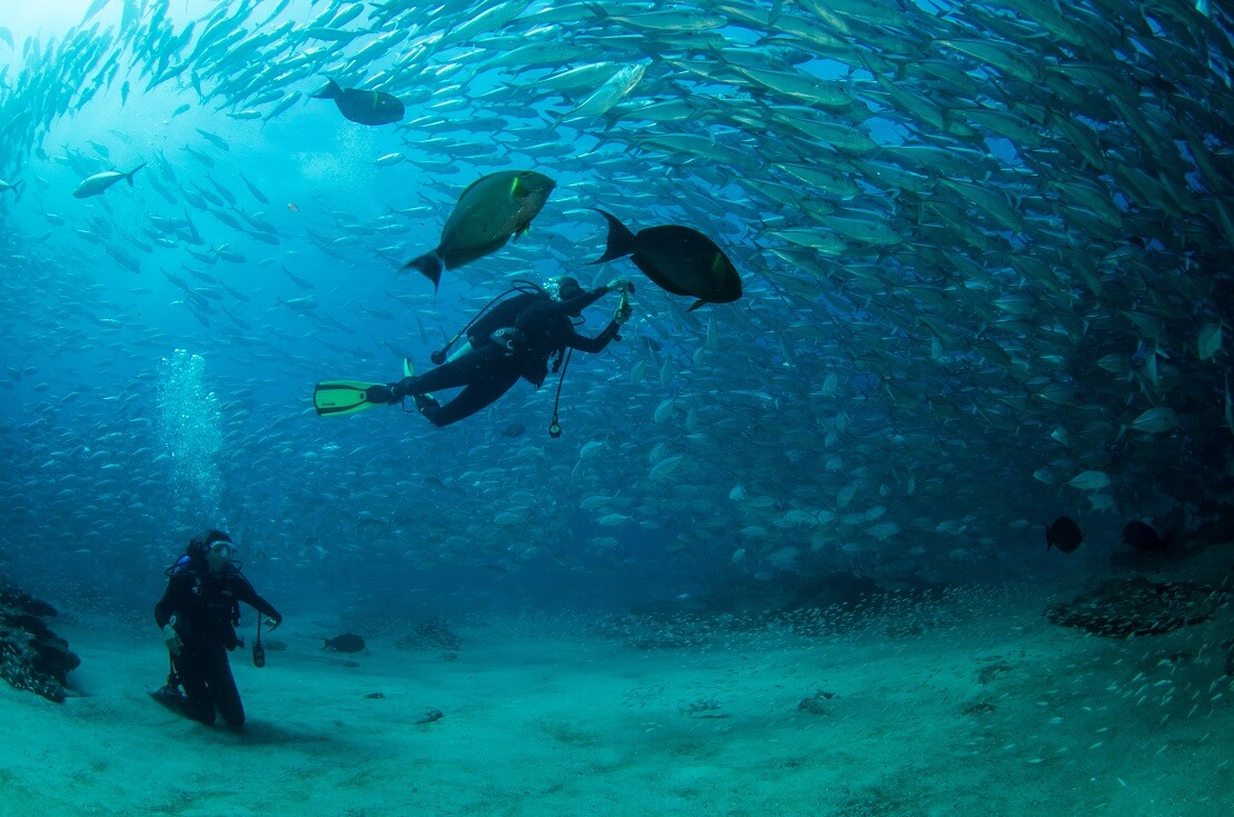 Taucher sind am Meeresgrund über ihnen schwimmt ein Schwarm Fische