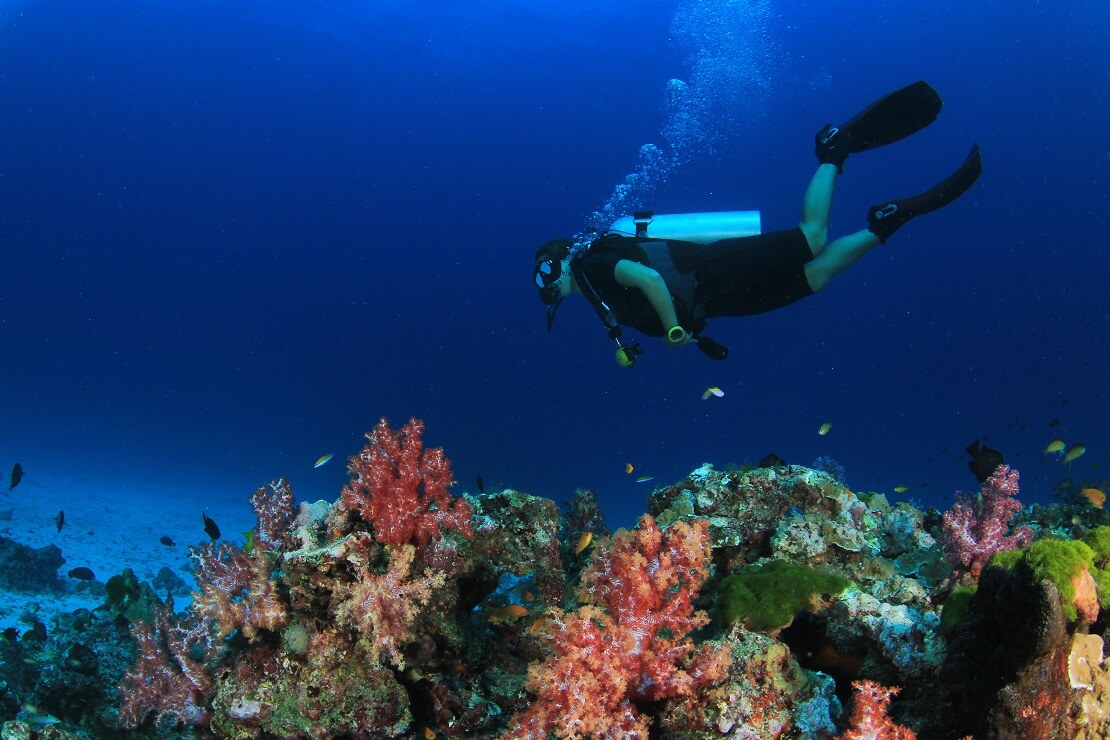 Taucher schwimmt über einem Korallenriff