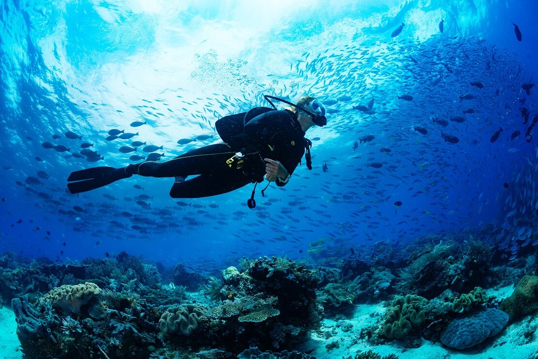 Taucherin schwimmt unter der Wasseroberfläche über ihr schwimmen Fische