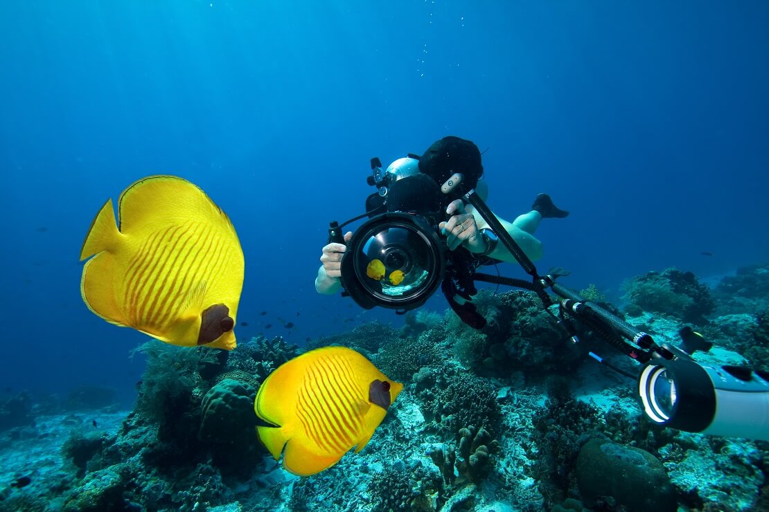 Taucher macht mit einer Kamera ein Foto von Fischen unter Wasser