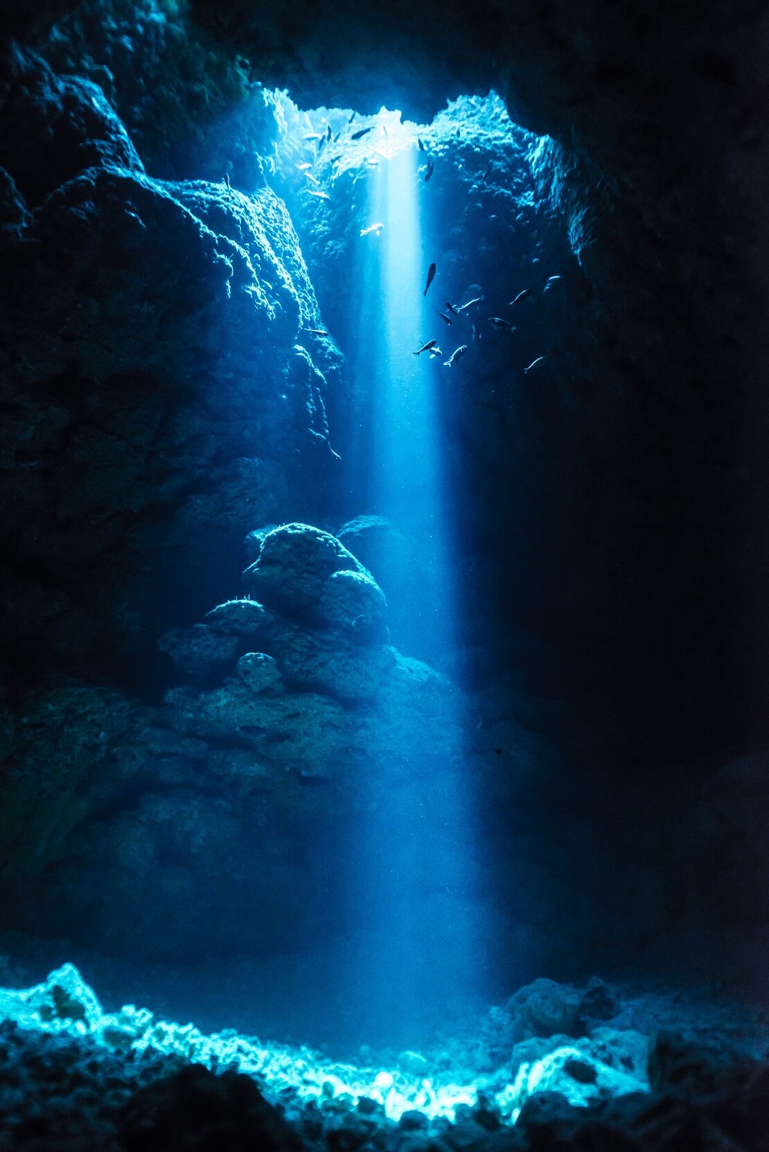 Fische schwimmen in einem Blue Hole bei Sonnenschein