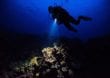 Bei Nacht in die Tiefen der Unterwasserwelt eintauchen