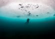 Eiswasser – Tauchen in kalten Gewässern ist ein besonderes Erlebnis