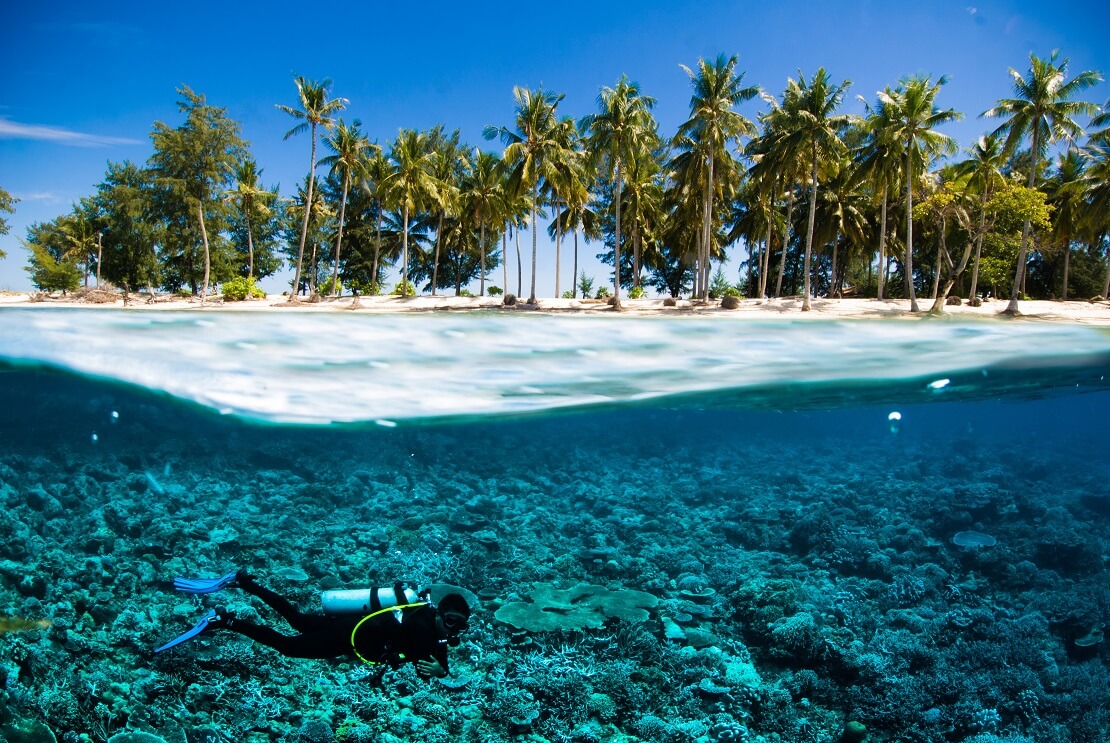 Taucher schwimmt unter Wasser bei Korallen über Wasser sind Palmen und ein Strand