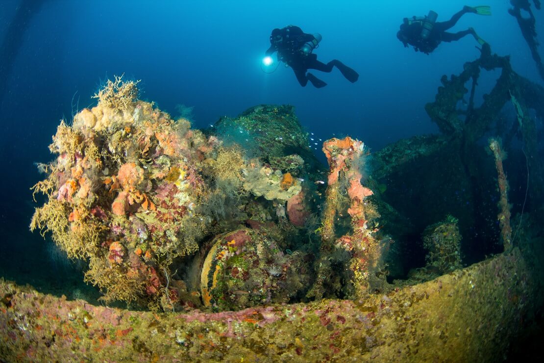 Taucher schwimmen über einem Wrack bewachsen mit Korallen