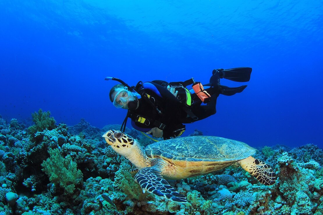 Taucher bei den Malediven mit einer Schildkröte