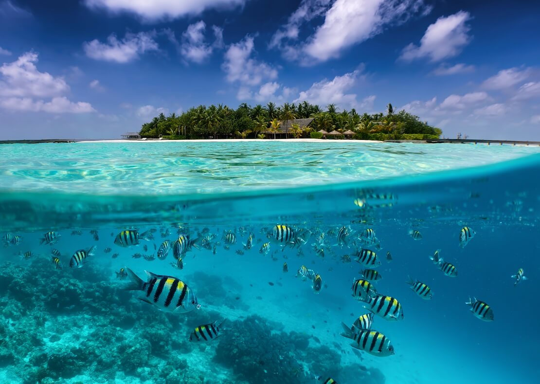 Malediven mit Fischen unter Wasser