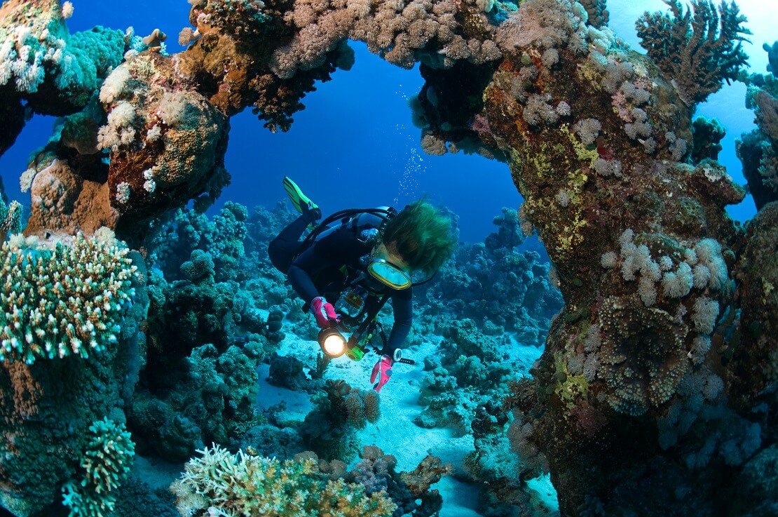 Taucherin schwimmt durch einen Felsbogen mit Korallen in Ägypten