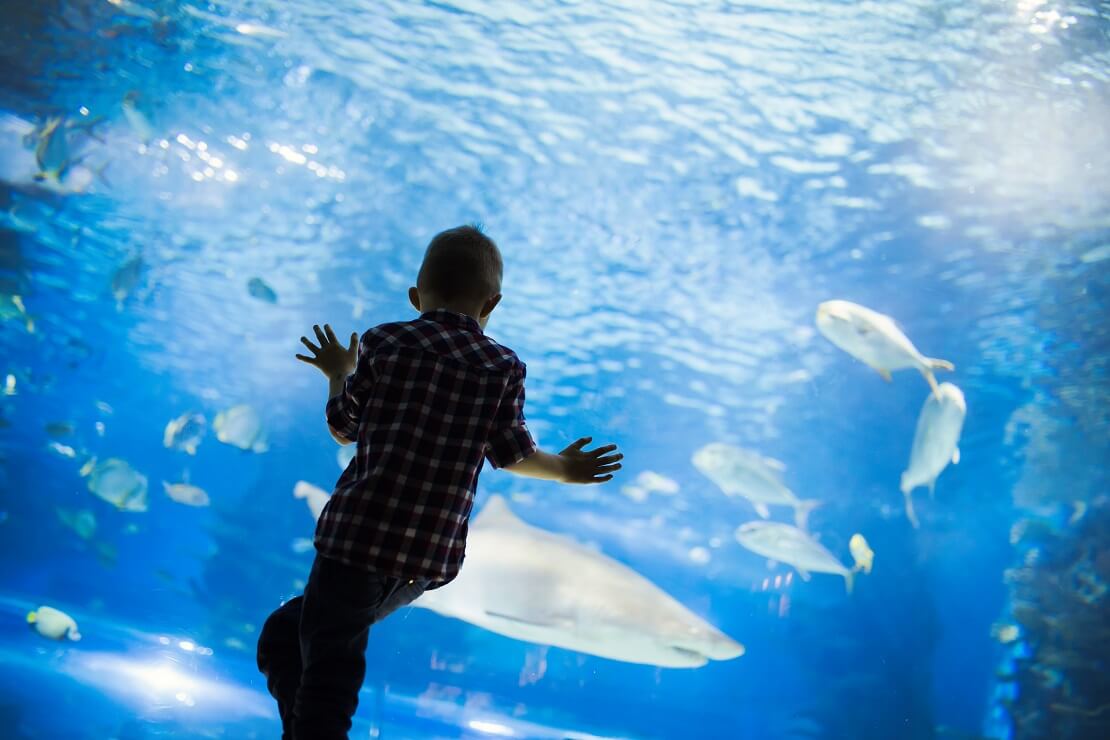 kleiner-junge-vor-aquarium