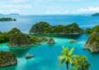 Raja Ampat: Rekord-Vielfalt an maritimer Flora und Fauna 