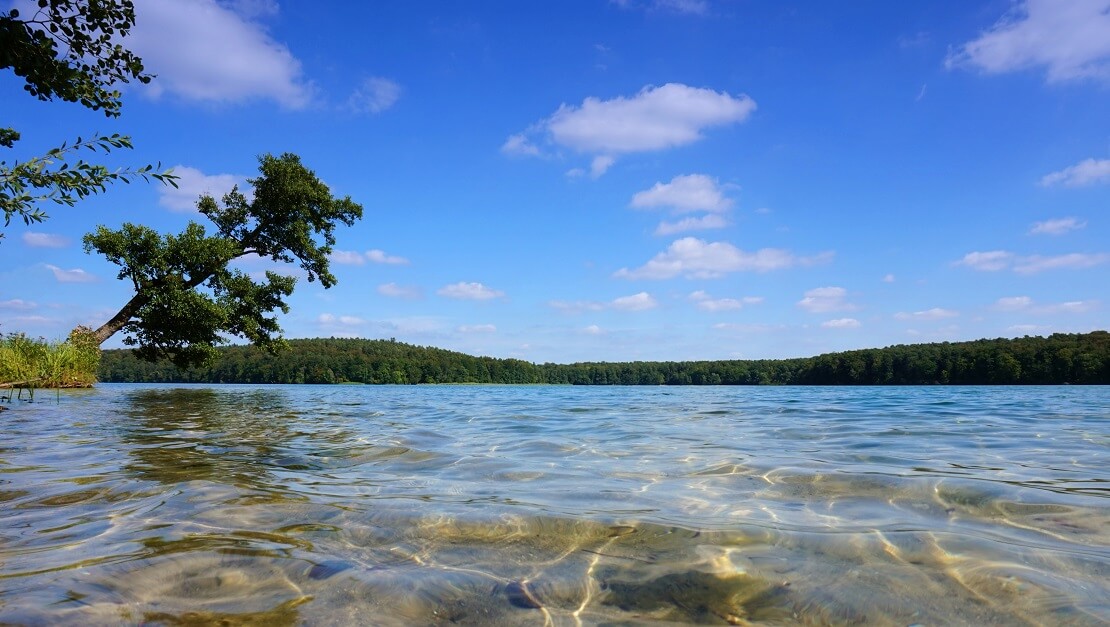 Der Stechlinsee an einem Sommertag