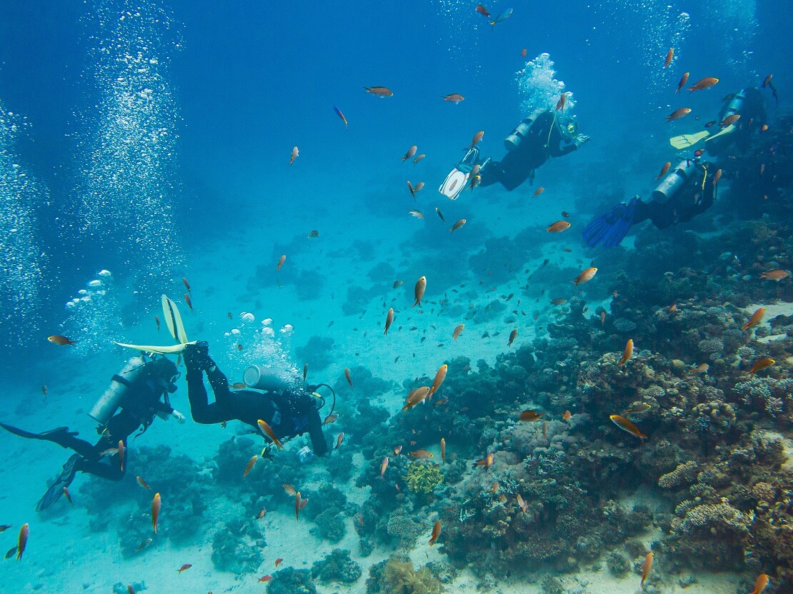 Taucher in Dahab