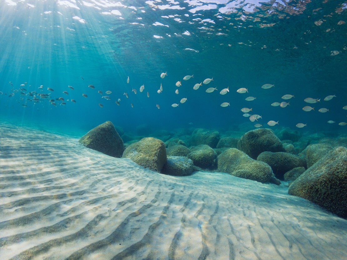 Fische über Sandboden