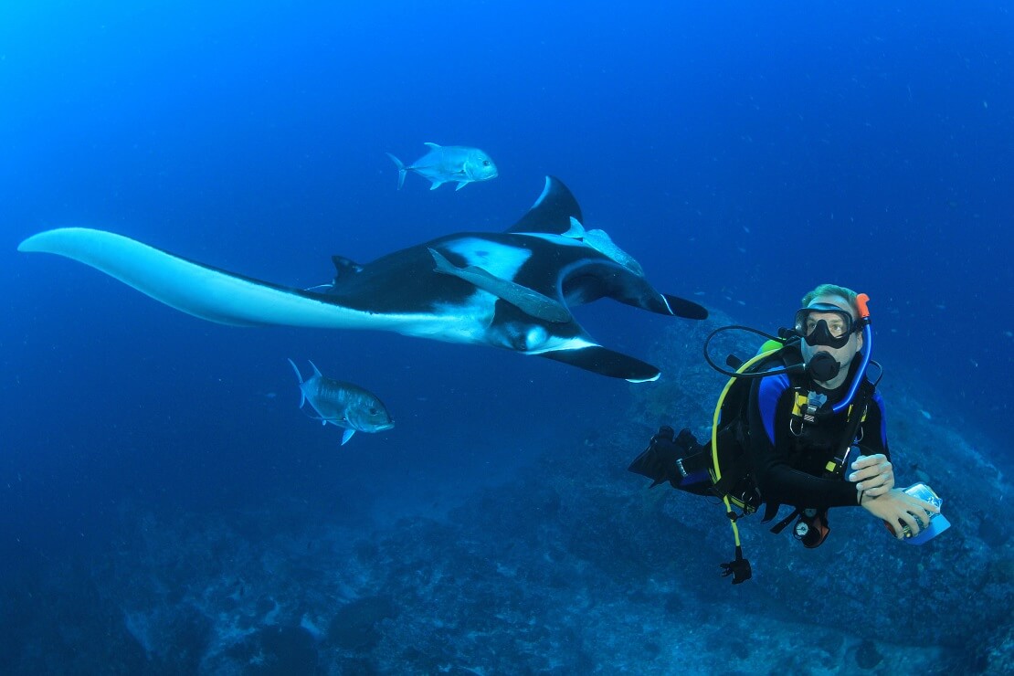 Taucher mit Mantarochen in nächster Nähe