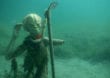 München: Außerirdische Unterwasserwelt im Echinger Weiher