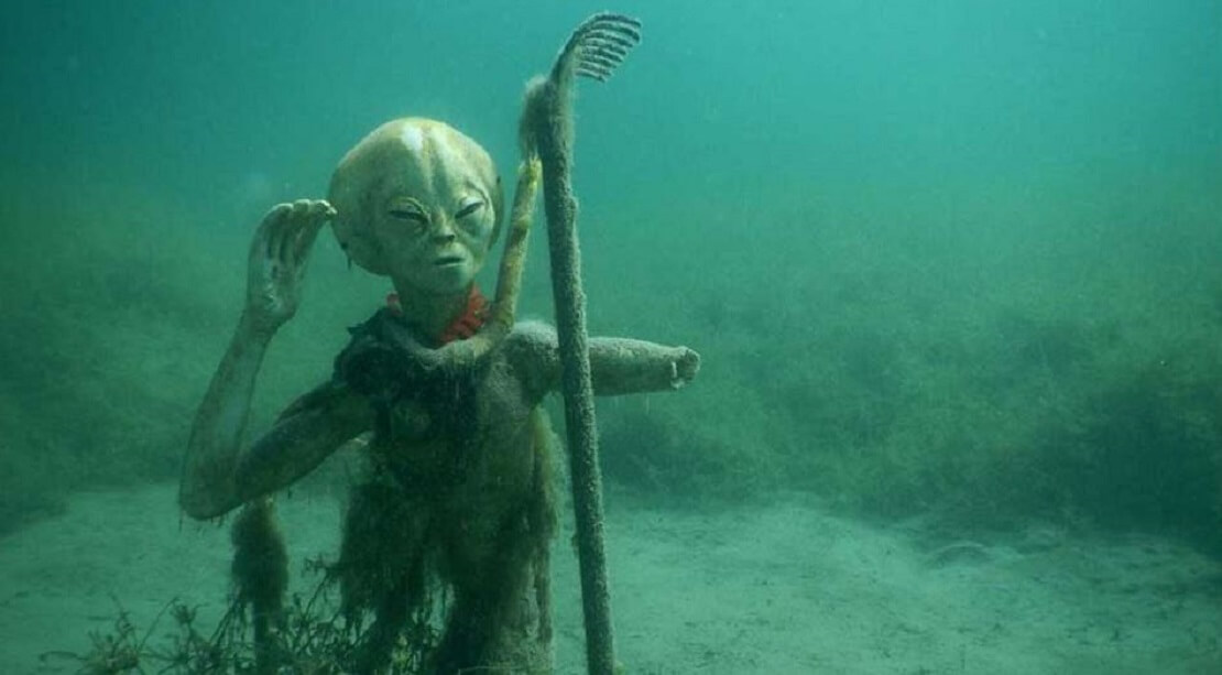 Der Alien Oscar im Echinger Weiher