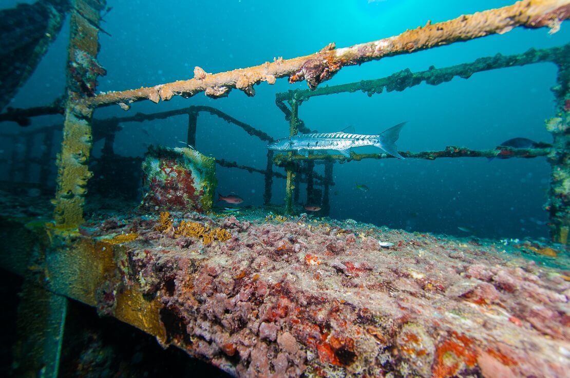 Wrack der Vandenberg mit einem Barrakuda