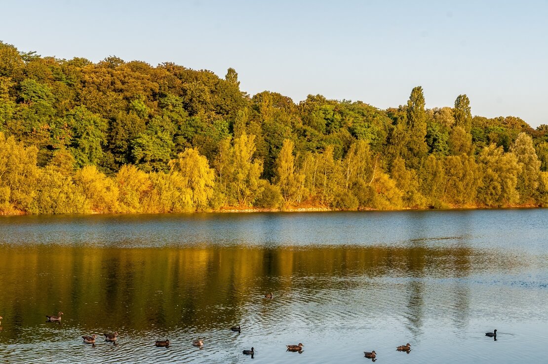 Der Fühlinger See