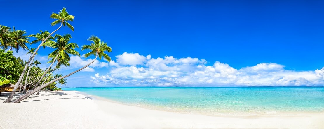 Weißer Sandstrand mit Palmen