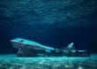 Bahrain: Der größte Unterwasser-Themenpark der Welt