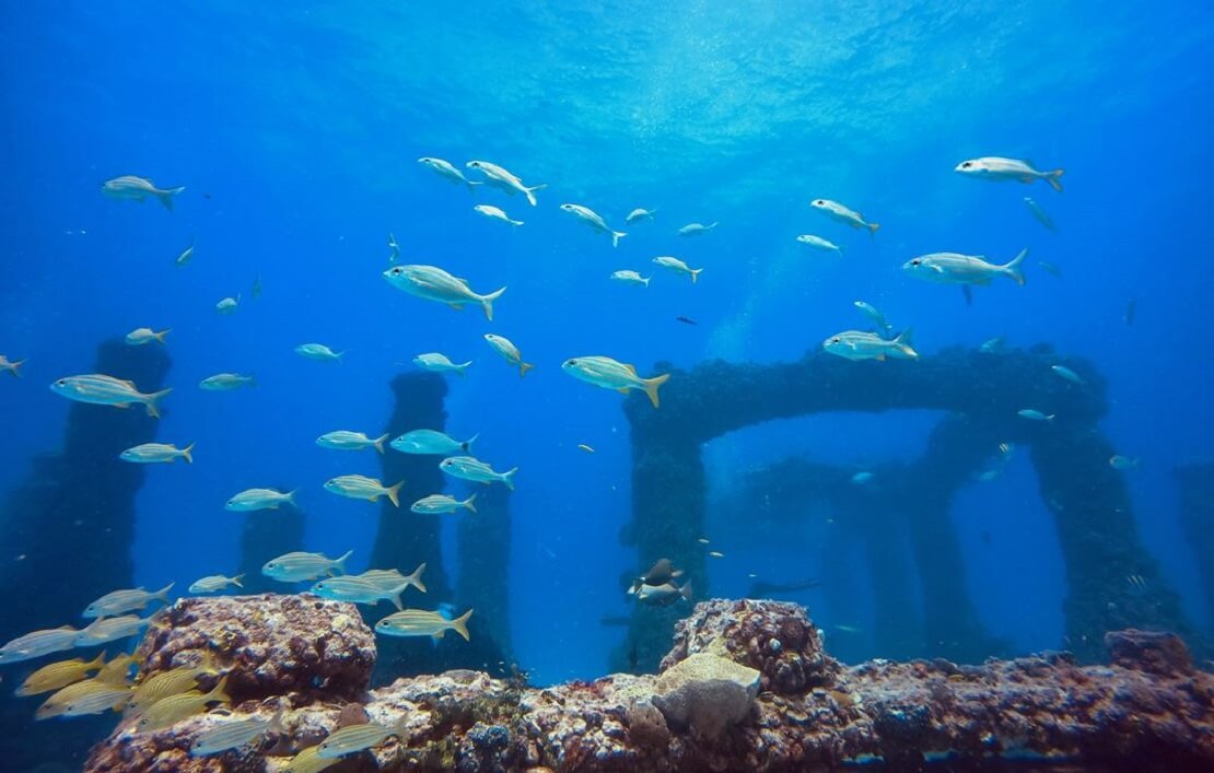 Das Neptune Memorial Reef
