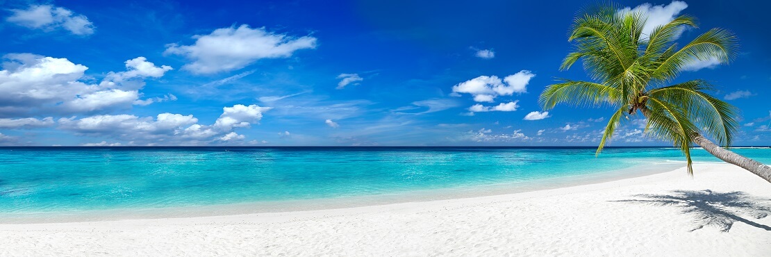 Weißer Sandstrand mit einer Palme