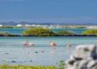 Bonaire: Mit Delfinen vor der „Insel der Flamingos“