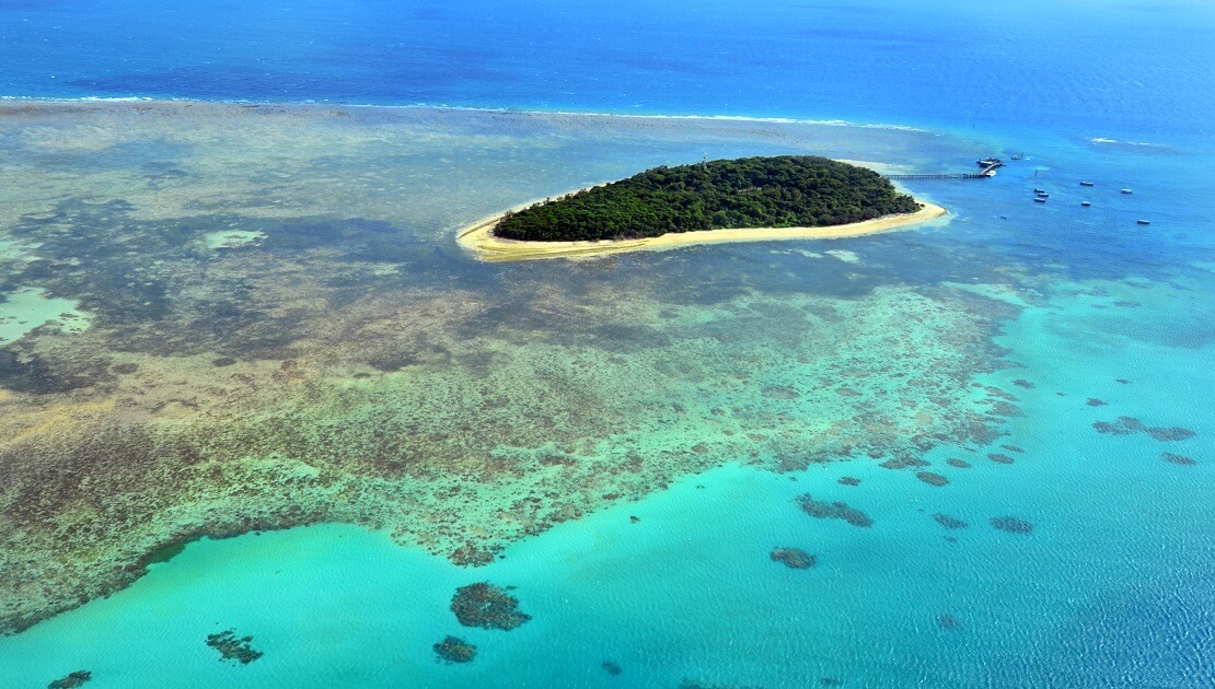 Älteste Koralle des Great Barrier Reef entdeckt