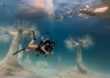 Zypern: Neues Unterwassermuseum mit Skulpturen von Taylor