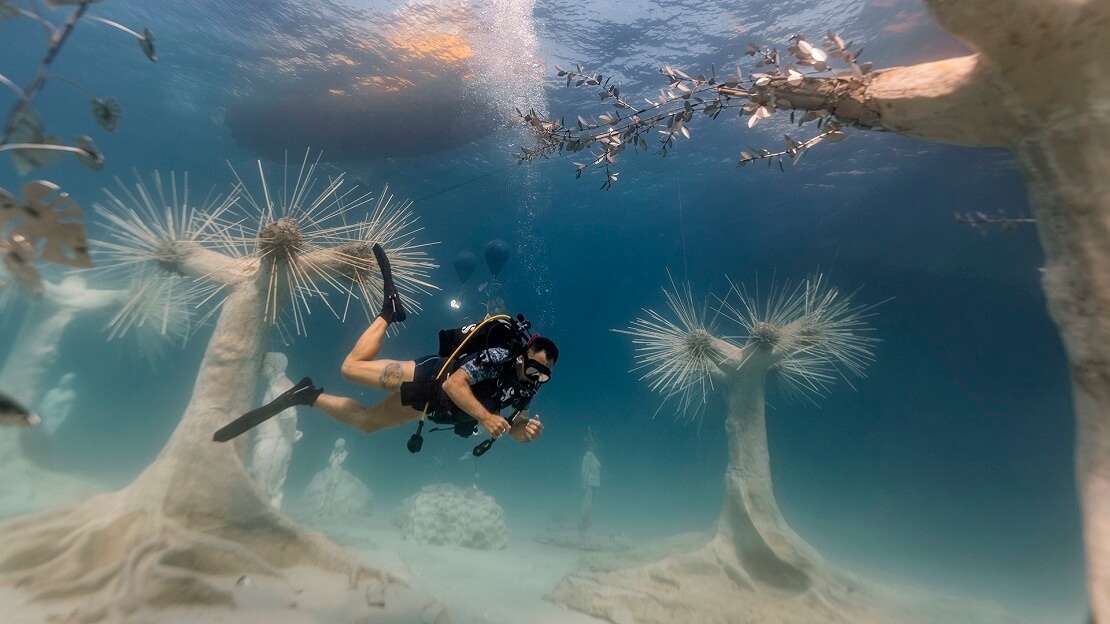 Taucher in den Unterwasserwäldern des MUSAN