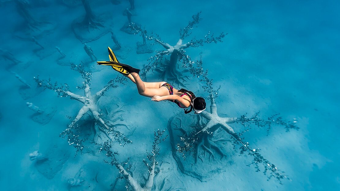 Frau taucht über die Unterwasserwälder des MUSAN