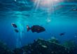 Geschichten von schlafenden Unterwasserriesen: 3 der spektakulärsten Schiffswracks