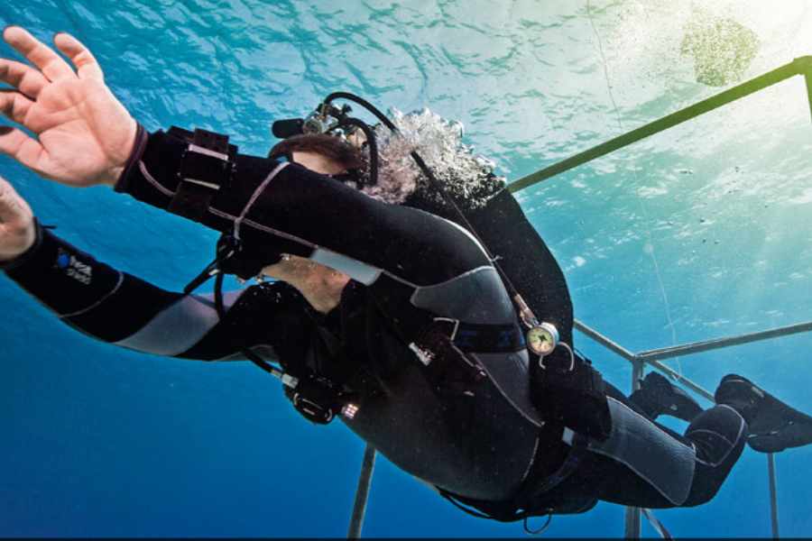 Dive Trophy: Halbfinal-Zeit bei Europas größtem Tauchwettbewerb