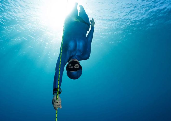 Wer Ist Der Schnellste Fisch Segelfisch: Der schnellste Fisch der Welt - 123 Tauchsport
