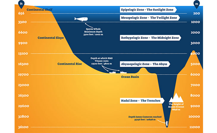 Die Zonen der Tiefsee grafisch dargestellt