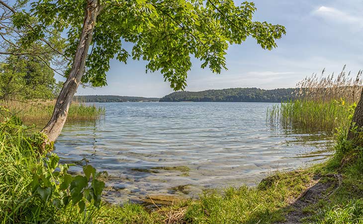 Der Taucheinstieg "Dornbusch" am Werbellinsee in Brandenburg